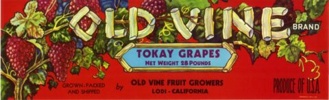 Old Vine